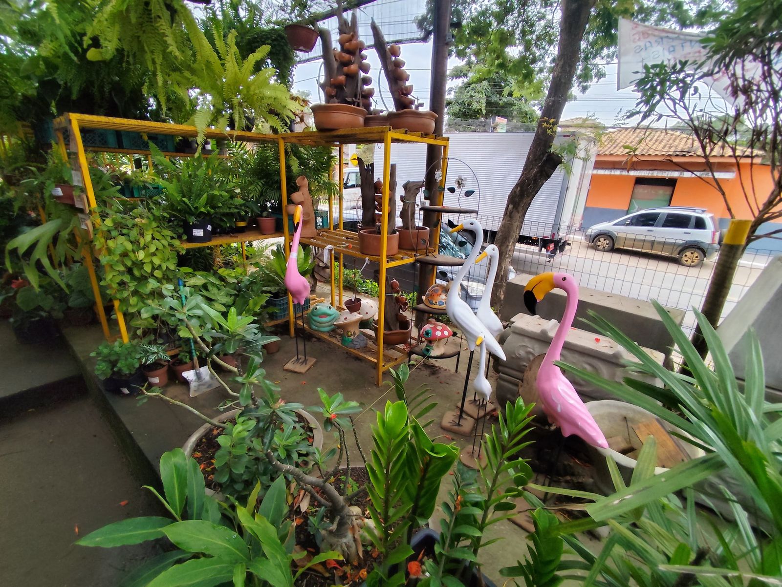 Jardim da loja com flamingos e plantas