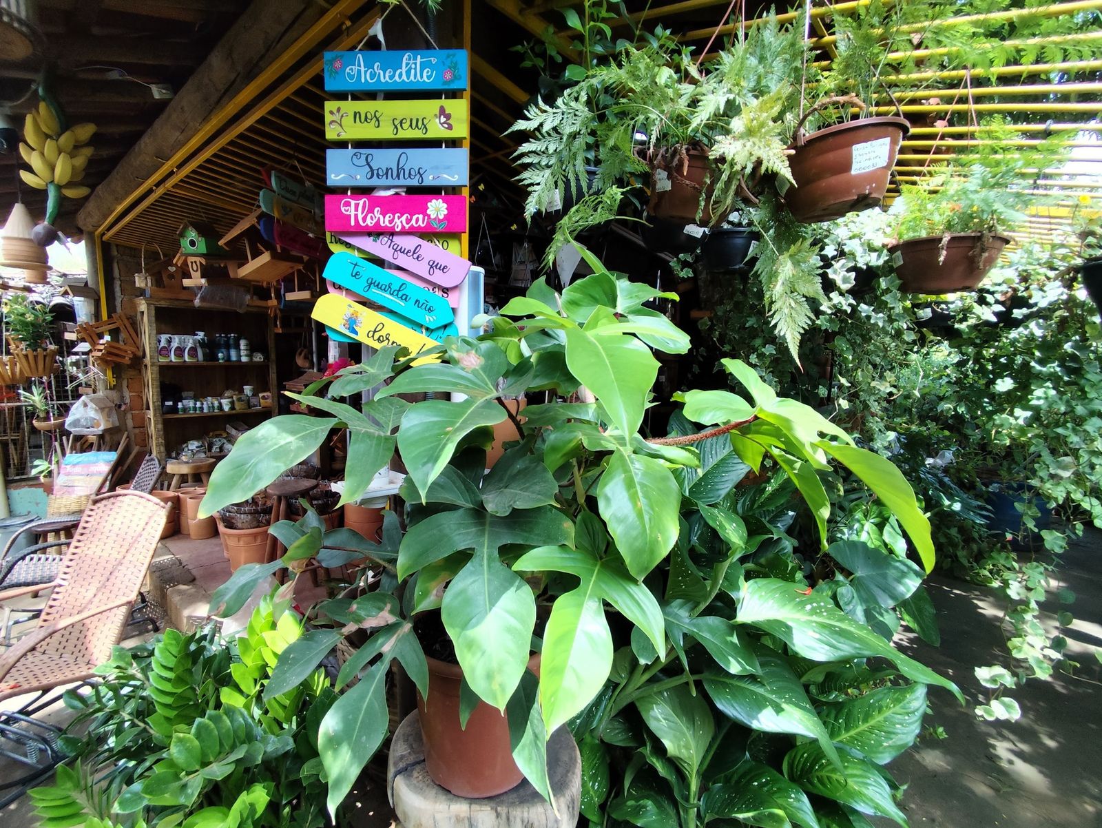 Plantas e plaquinhas coloridas na entrada