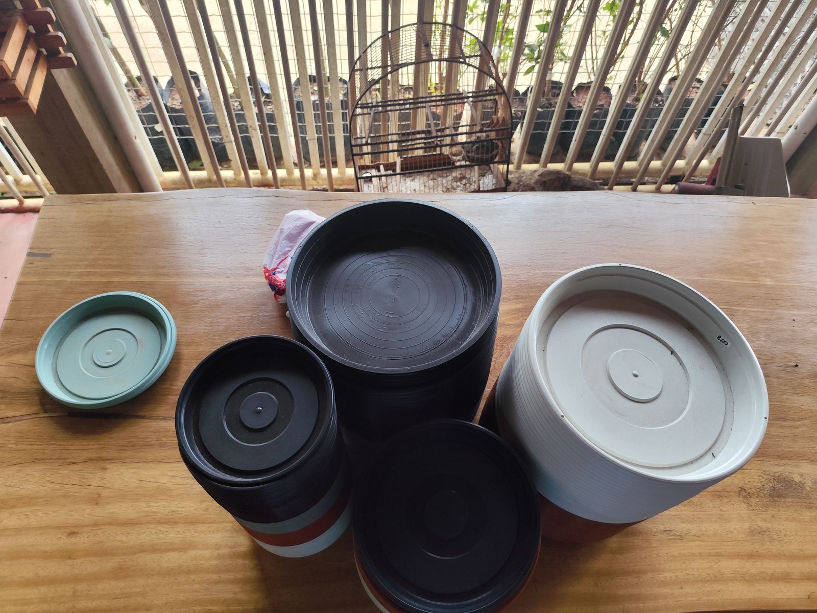 Pratos para vaso de vários tamanhos no Jardim do Éden, Lagoa Santa