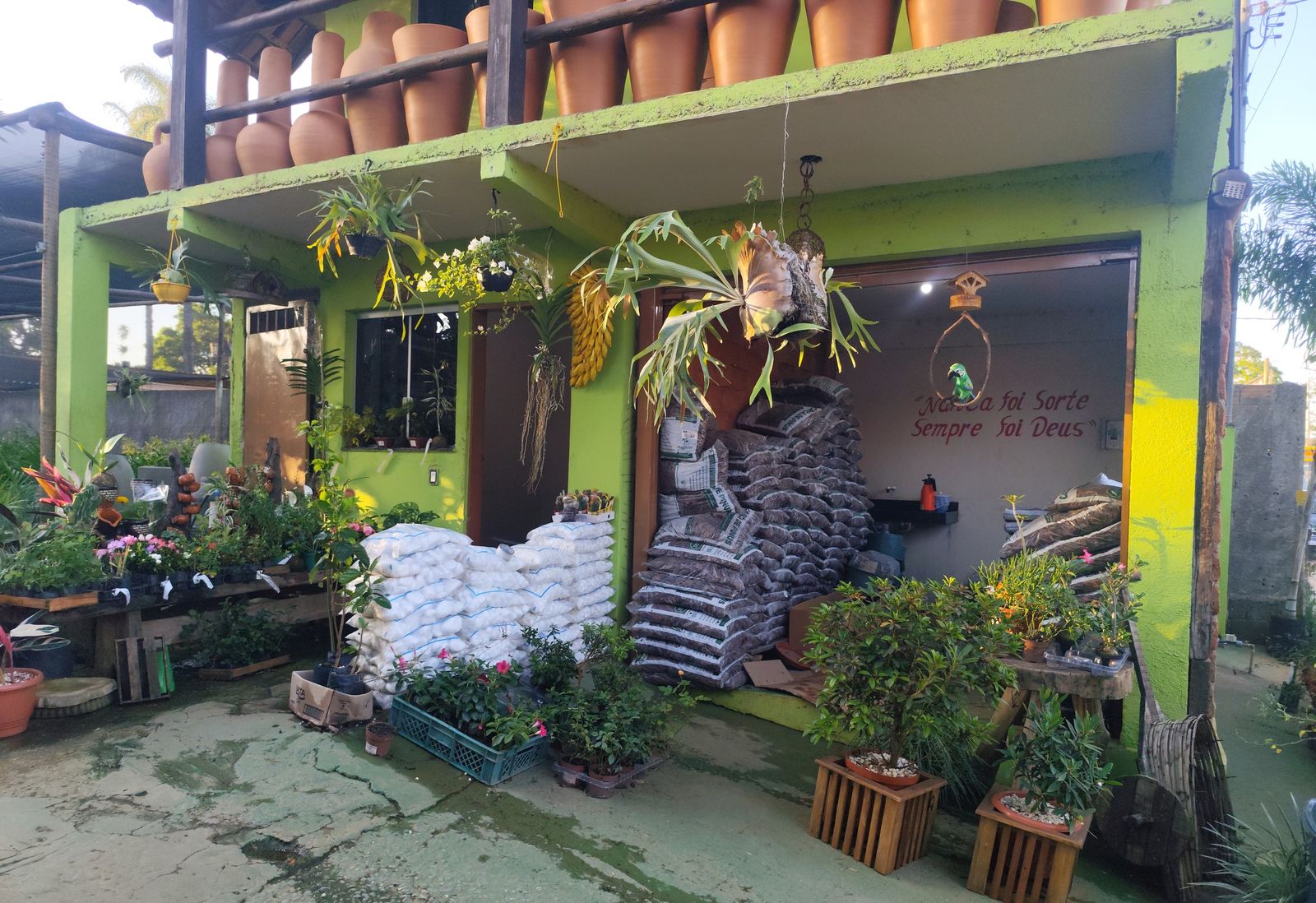 Entrada da loja verde com plantas e sacos de terra